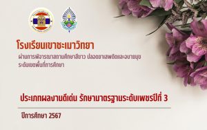 เพชรปีที่3